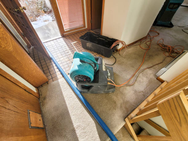 Best Residential water damage restoration  in Port Salerno, FL