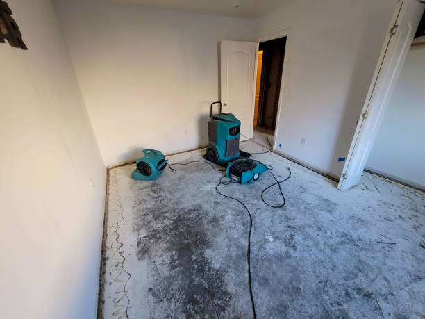 Best Local water damage restoration  in Port Salerno, FL
