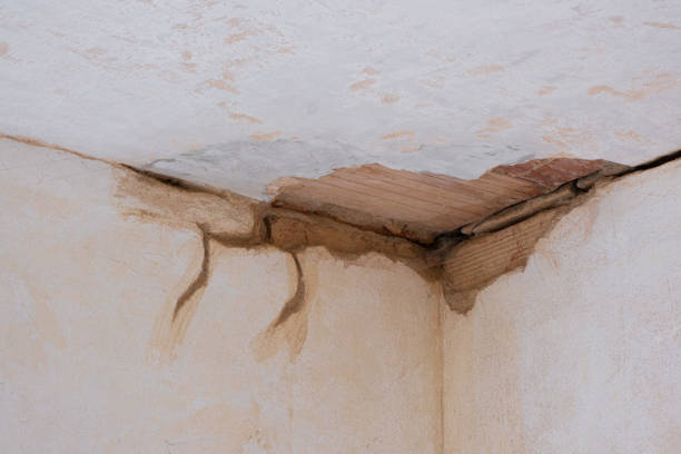 Best 24-hour water damage restoration  in Port Salerno, FL