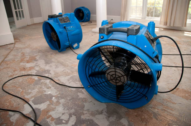 Best Sewage cleanup and water damage restoration  in Port Salerno, FL