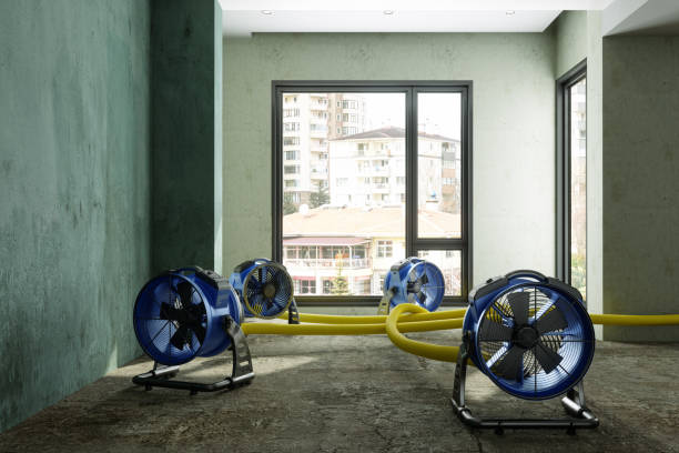 Best Fire Damage Restoration  in Port Salerno, FL